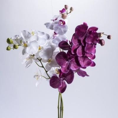 Bloemen