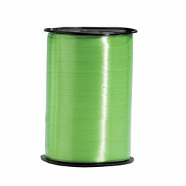 Cadeaulint lichtgroen 9,5mm x 250m Cadeaulint lichtgroen 9,5mm x 250m