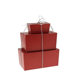Pralinedoos rood interieur goud 250g - per 50 Pralinedoos rood interieur goud 250g - per 50