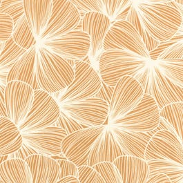 Zijdepapier Doria 50x75cm - per 100 Zijdepapier Doria 50x75cm - per 100